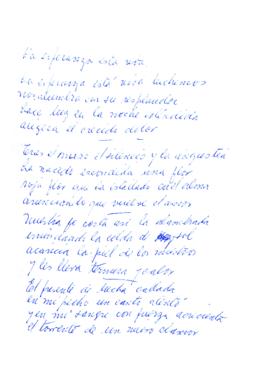 Poema "La esperanza está viva"